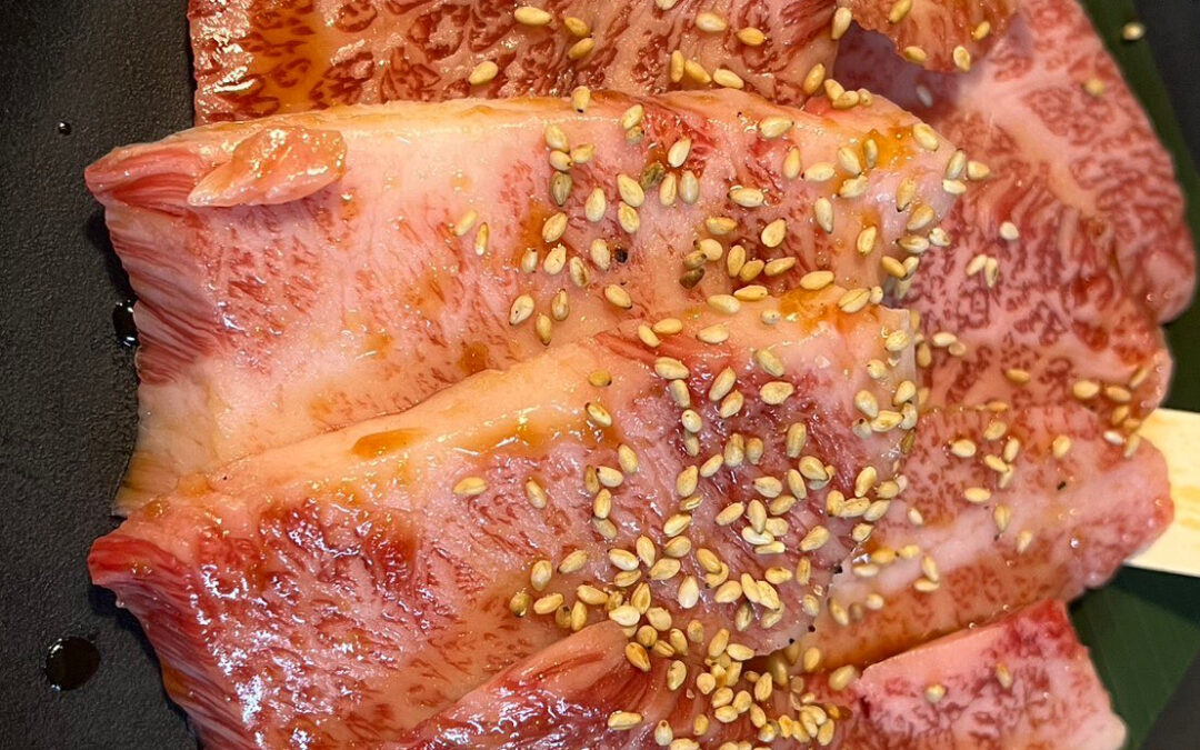 ✨ 学生のみなさん、ホルモン焼肉の魅力を存分に楽しんでみませ