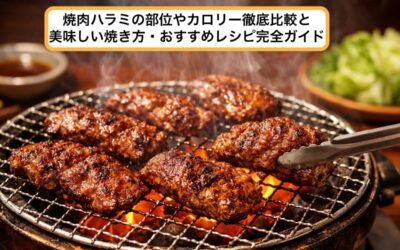 焼肉ハラミの部位やカロリー徹底比較と美味しい焼き方・おすすめレシピ完全ガイド
